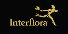 Interflora: Avios & Virgin points