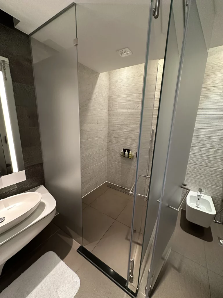 Photograph of a shower within a bedroom at the W in Abu Dhabi