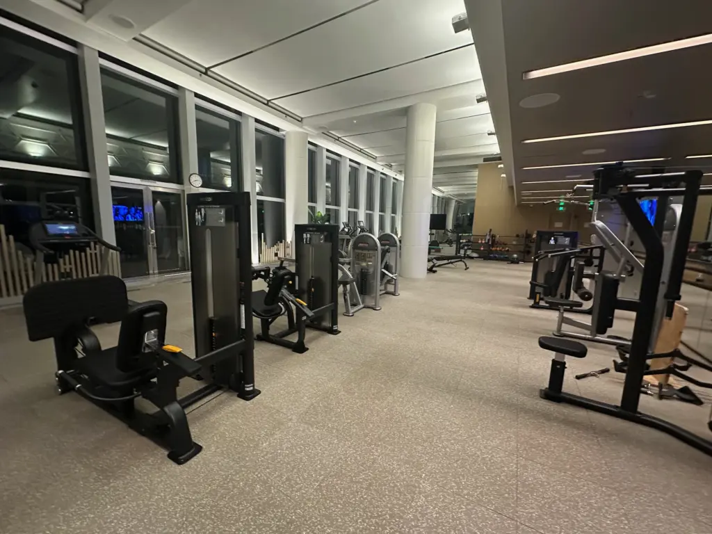The double height windows in the gym The double height windows in the gym