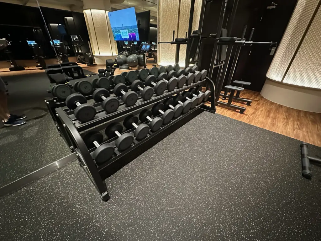The free weights with the oversized TV in the background The free weights with the oversized TV in the background