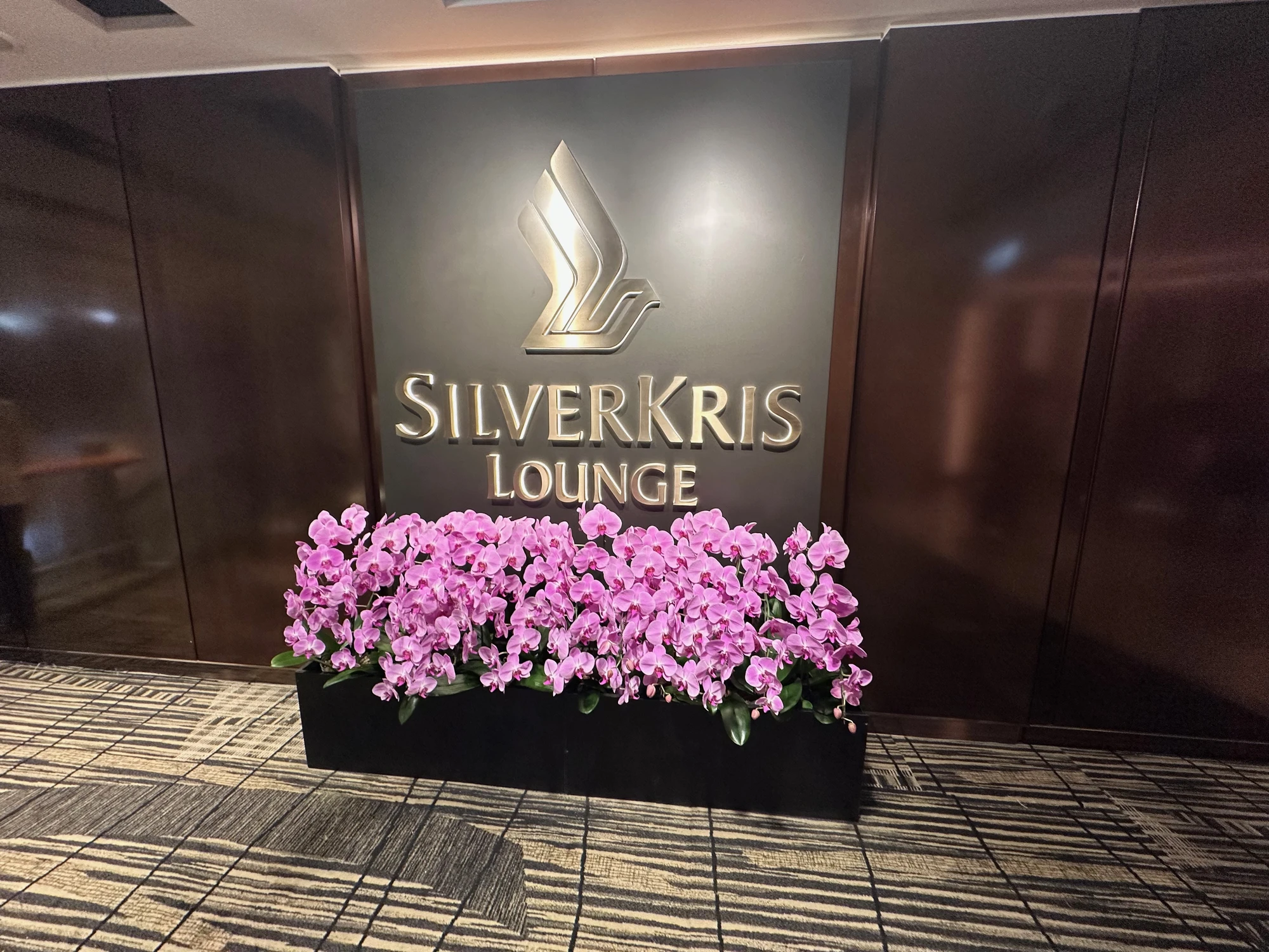 Review: Singapore Business Class – the good, bad and ugly