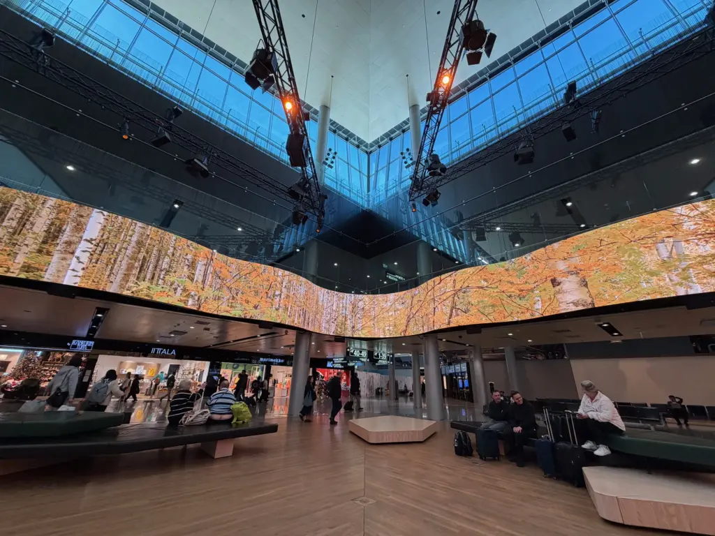 Transport yourself to a Finnish forest thanks to this video installation