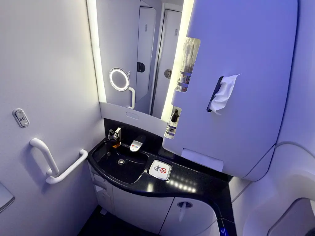 The Business Class bathroom Clean but not particularly big The Business Class bathroom Clean but not particularly big